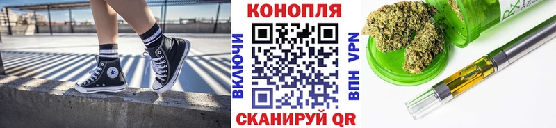 где продают наркотики  Новоаннинский  Бошки Шишки Amnesia 